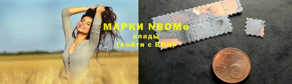 ПСИЛОЦИБИНОВЫЕ ГРИБЫ Аркадак