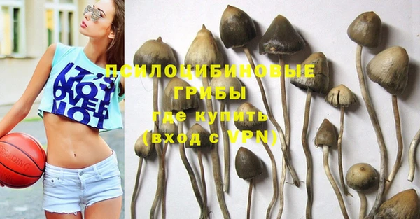ALPHA PVP Арсеньев
