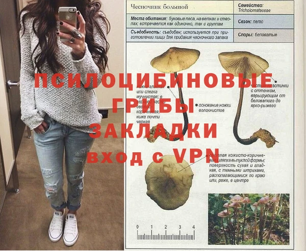 ПСИЛОЦИБИНОВЫЕ ГРИБЫ Аркадак