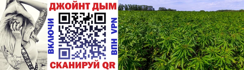hydra маркетплейс Асбест Конопля индика